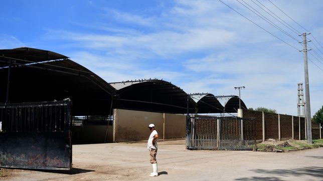 a nueve meses del fatidico incendio, el frigorifico gorina avanza con la reconstruccion y asi esta hoy