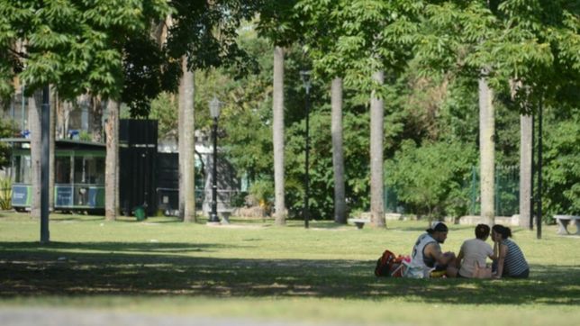 pocas nubes, sol y mucho calor: asi va a seguir el clima en la plata