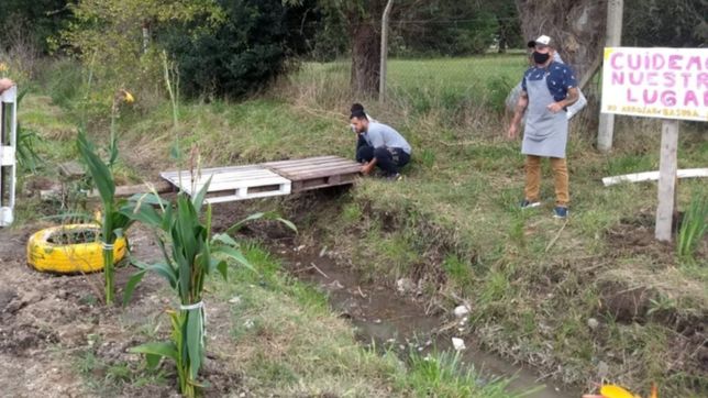 vecinos de la plata transformaron un basural en un jardin de plantas y flores