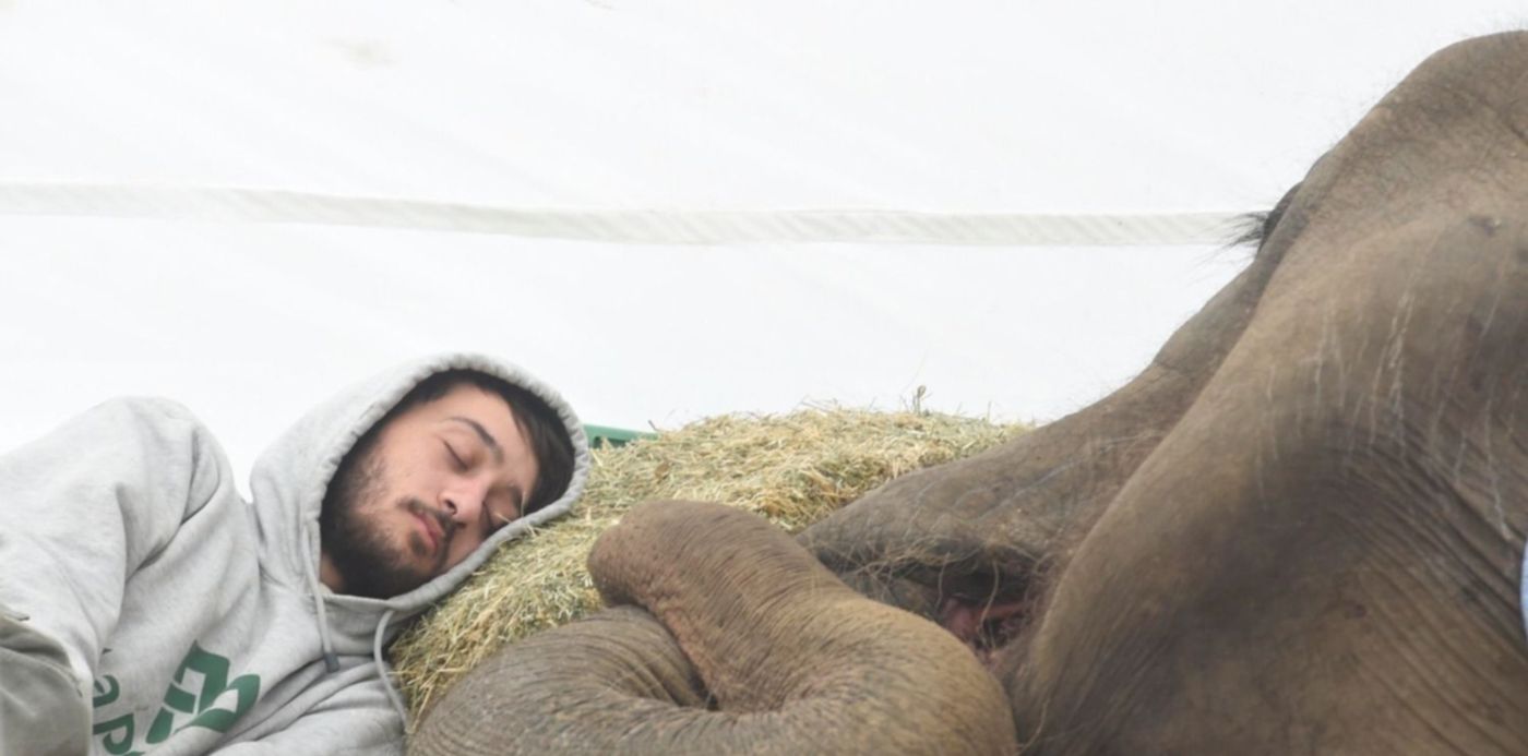 1528195854680.jpg?&cw=1920&ch=950