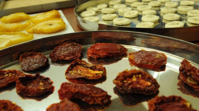 la unlp producira alimentos deshidratados para combatir el hambre en una planta propia