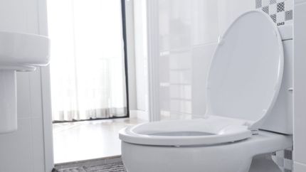 El Gobierno lanzó un nuevo programa: ¿cómo es Mi baño, para quiénes y qué ofrece?