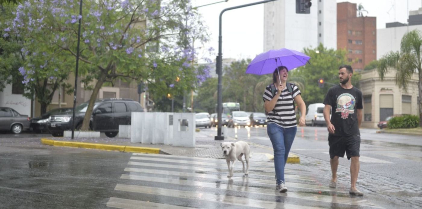 1547463032614.jpg?x=9&y=80&width=1485&height=742&rotate=0&scaleX=1&scaleY=1&ow=1500&oh=831&&cw=1920&ch=950