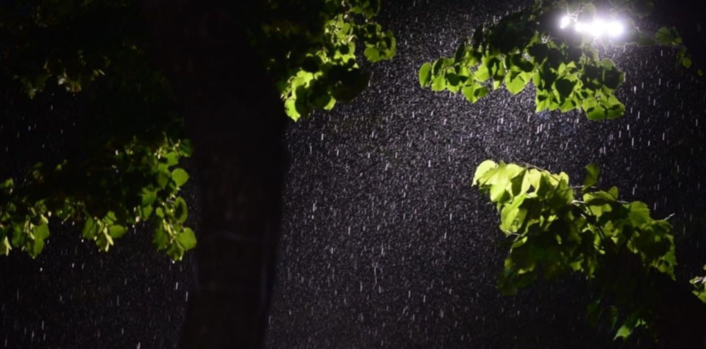 1551997429119.jpeg?x=28&y=76&width=1218&height=609&rotate=0&scaleX=1&scaleY=1&ow=1232&oh=820&&cw=1920&ch=950