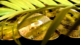 ¿que ocurre en tus operaciones cuando bitcoin se estabiliza tras fuertes caidas?