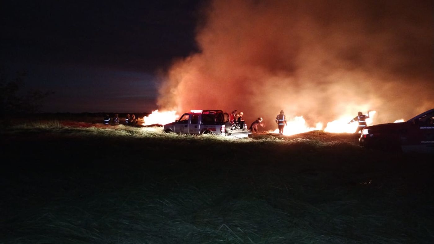 Un gran incendio forestal se desat&oacute; este &uacute;ltimo fin de semana en la Reserva Natural de Punta Lara.