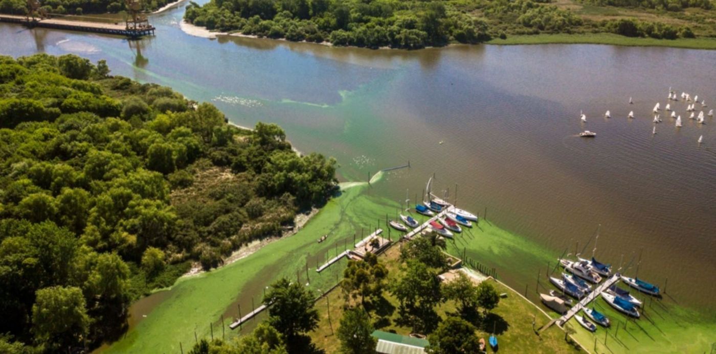 1606098610695.jpg?x= 7&y=318&width=1514&height=758&rotate=0&scaleX=1&scaleY=1&ow=1500&oh=1124&&cw=1920&ch=950