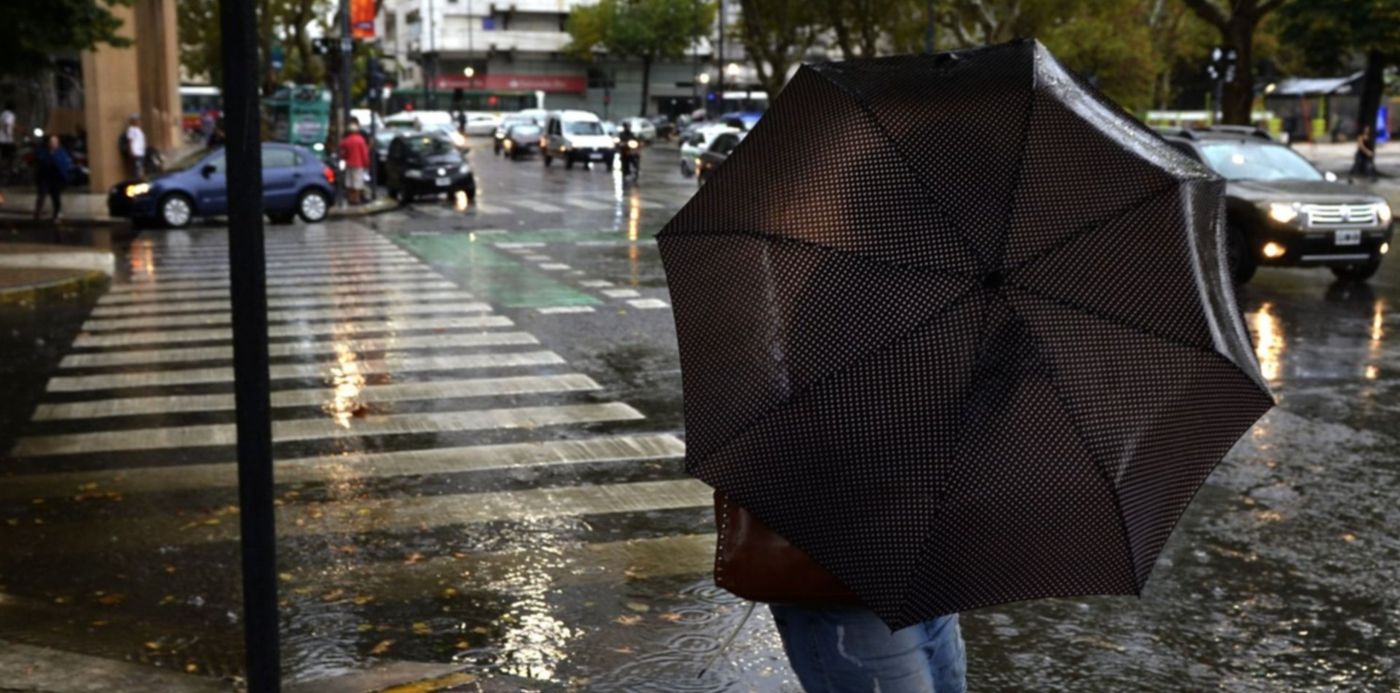 1647988551326.jpg?x=9&y=30&width=1479&height=740&rotate=0&scaleX=1&scaleY=1&ow=1500&oh=1179&&cw=1920&ch=950