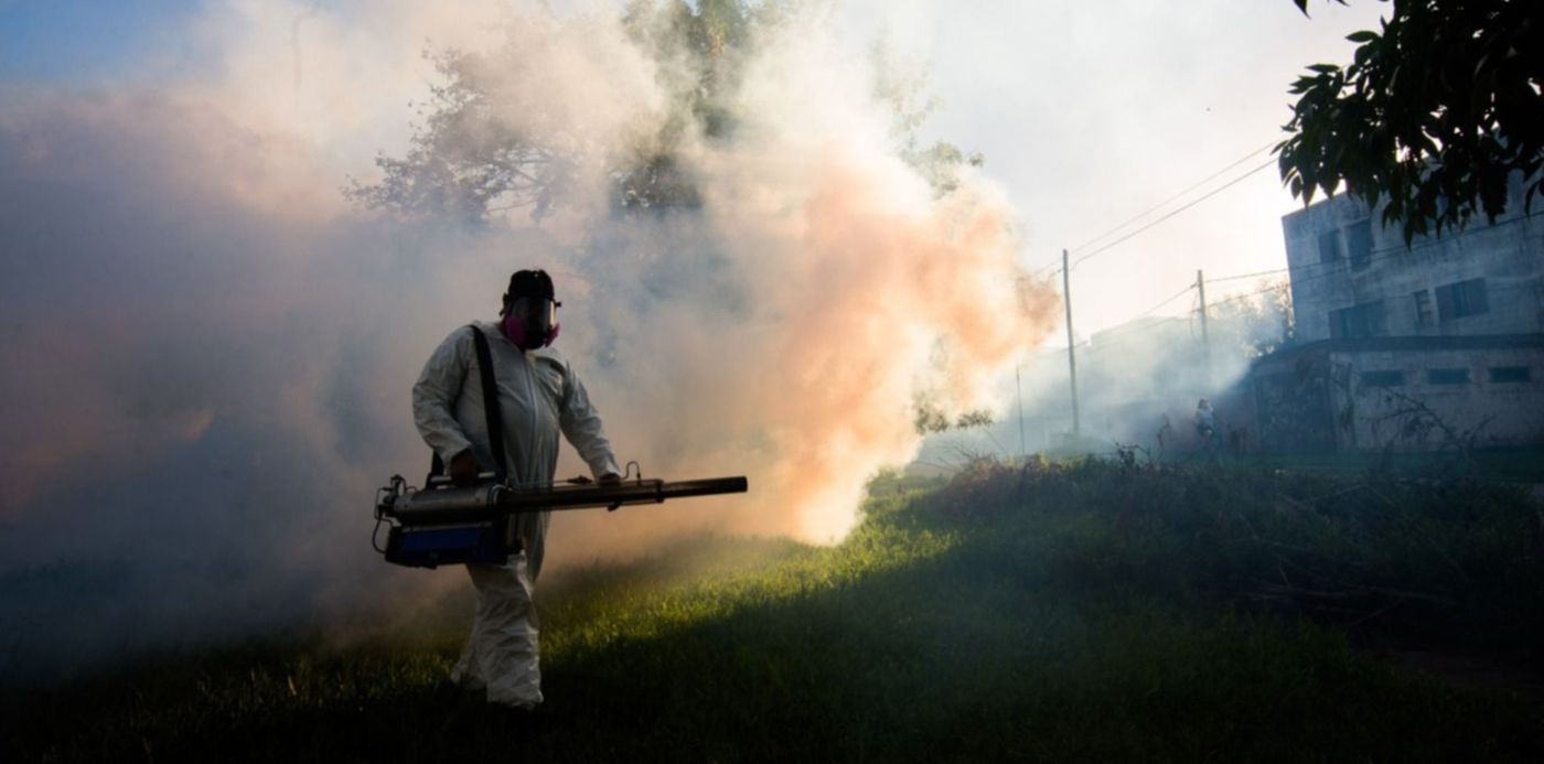 Fumigación Mosquitos Dengue