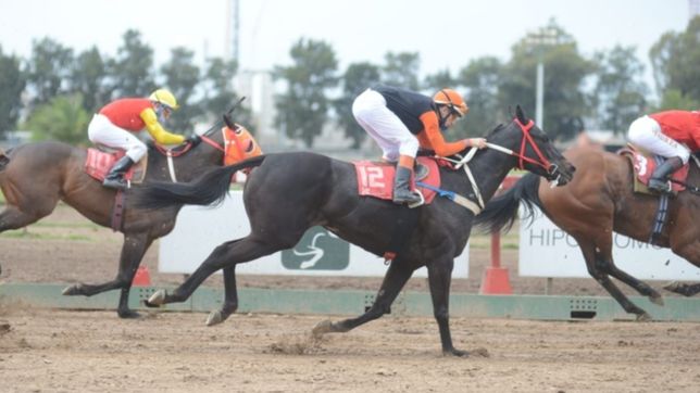 reabrio el hipodromo de la plata y asi se vivio la primera jornada de carreras