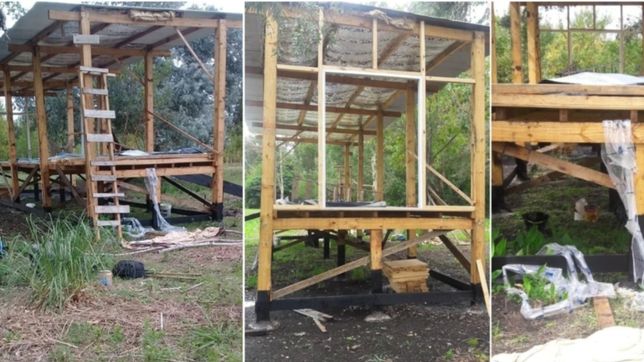 desvalijaron un refugio de animales: se llevaron hasta las ventanas que estaban puestas