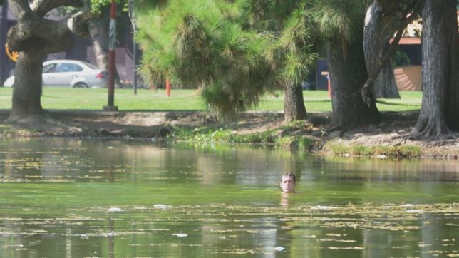 sol, mas de 30 grados y la lluvia que nunca fue: asi se va la semana en la plata