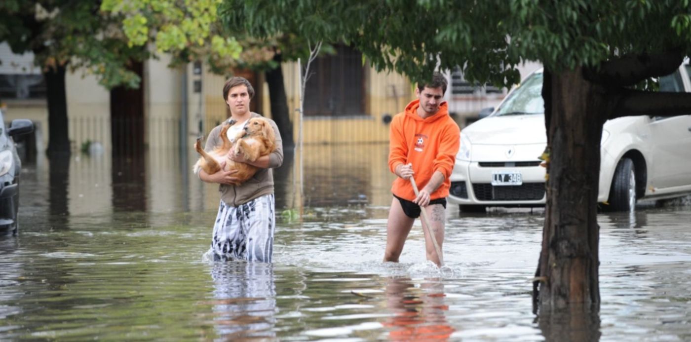 1678320721070.jpg?x=4&y=26&width=1492&height=746&rotate=0&scaleX=1&scaleY=1&ow=1500&oh=998&&cw=1920&ch=950