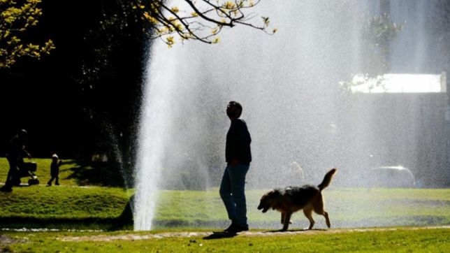 sol, nubes, viento y tormentas: asi estara el clima esta semana en la plata