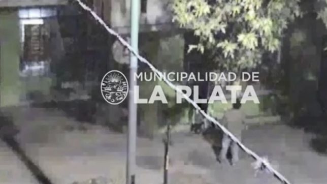 quisieron robar una pollajeria de el mondongo, los grabo una camara y terminaron detenidos