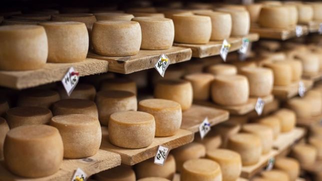 cientificos de la plata logran transformar desechos de los quesos en productos nuevos