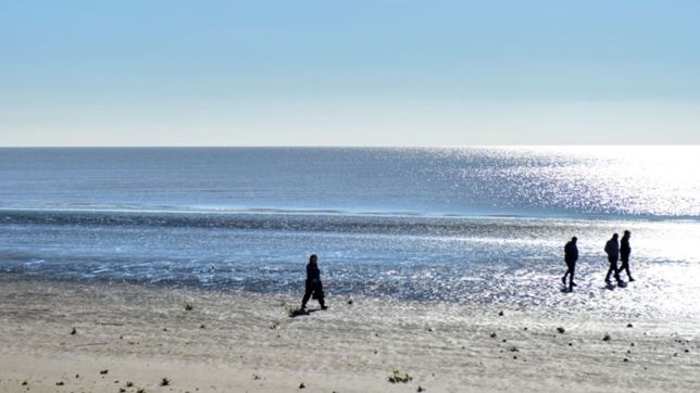punta lara tendra un camino costero y ya arrancaron con las obras junto al rio