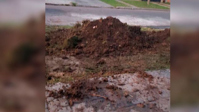 absa fue a hacer un arreglo a la casa de un vecino y destrozo la vereda de otro