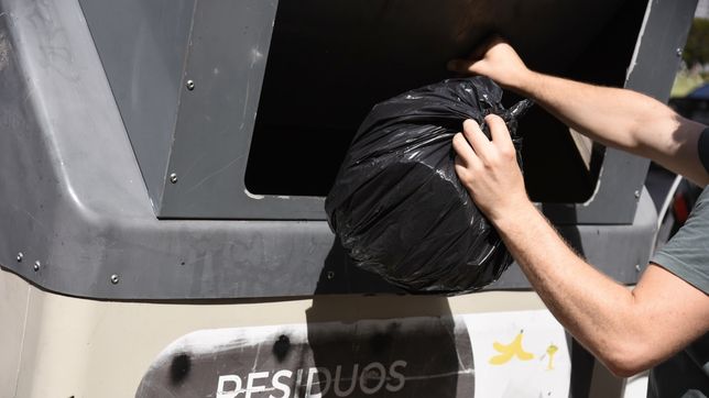 como funcionaran los servicios municipales en la plata durante el feriado del 25 de mayo