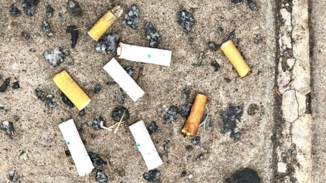 buscan prohibir que se tiren las colillas de cigarrillos en las calles de la plata