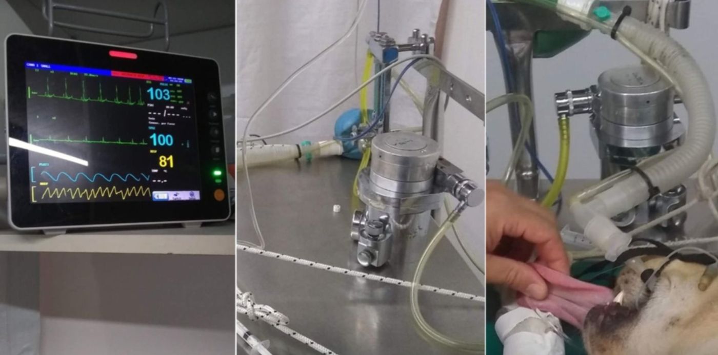 1621279516607.jpg?x=28&y=10&width=1444&height=722&rotate=0&scaleX=1&scaleY=1&ow=1500&oh=742&&cw=1920&ch=950