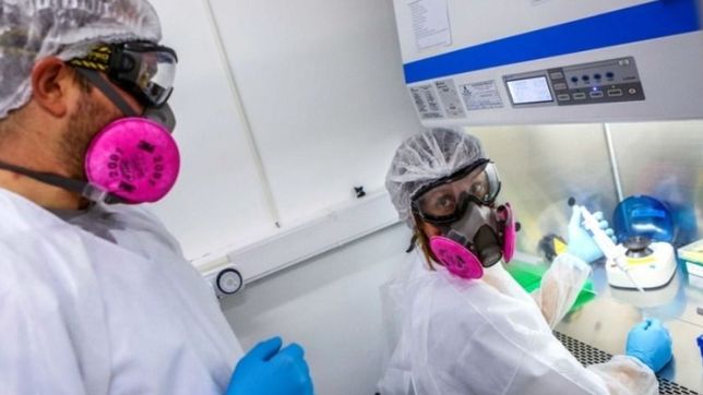 el conicet desarrolla un metodo para determinar la carga viral de covid-19 en pacientes