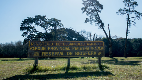 Así fue el secuestro de la joven de La Plata que fue abusada en el Parque Pereyra Iraola Así fue el secuestro de la joven de La Plata que fue abusada en el Parque Pereyra Iraola