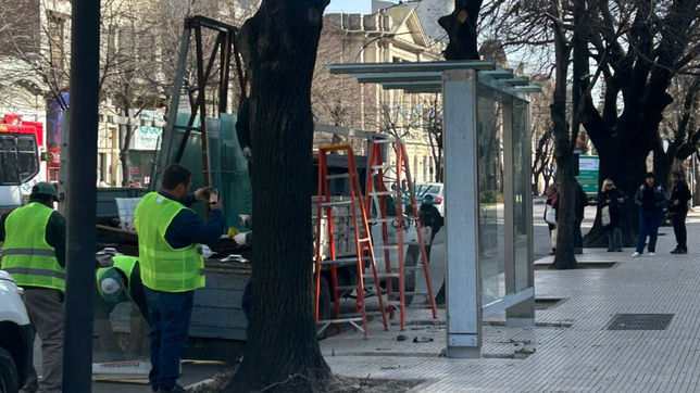 piden informes por la compra de pantallas led para las paradas de los micros en la plata