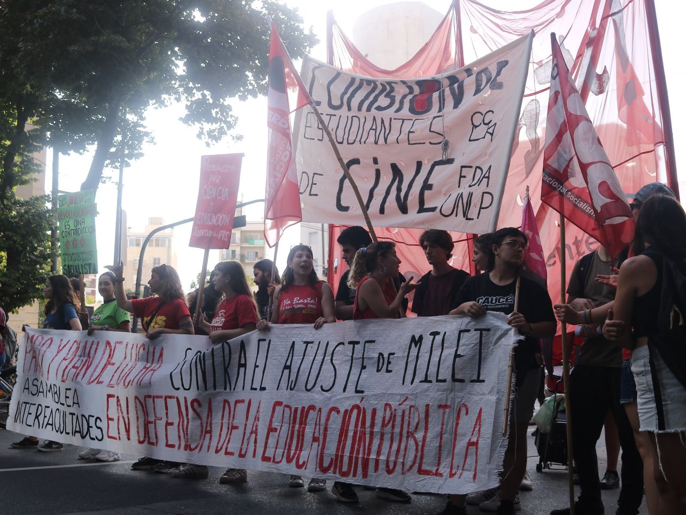 WhatsApp Image 2024-03-05 at 10.33.52.jpeg