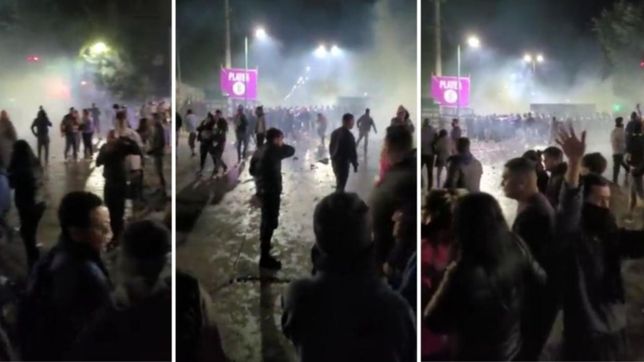 video: piedrazos, gases lacrimogenos y corridas en la entrada al recital de la renga