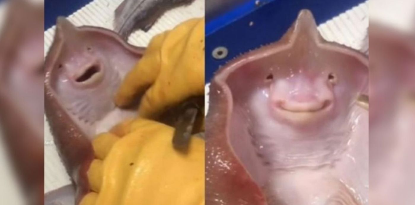 1624372122844.jpg?x=39&y=7&width=1278&height=639&rotate=0&scaleX=1&scaleY=1&ow=1350&oh=650&&cw=1920&ch=950