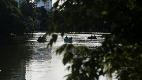 ¿Cómo es inusual parásito del Lago del Bosque de La Plata que vive y se desarrolla dentro de otro? ¿Cómo es inusual parásito del Lago del Bosque de La Plata que vive y se desarrolla dentro de otro?