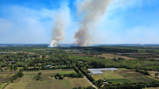 un incendio fuera de control en arturo segui pone en riesgo al parque pereyra iraola