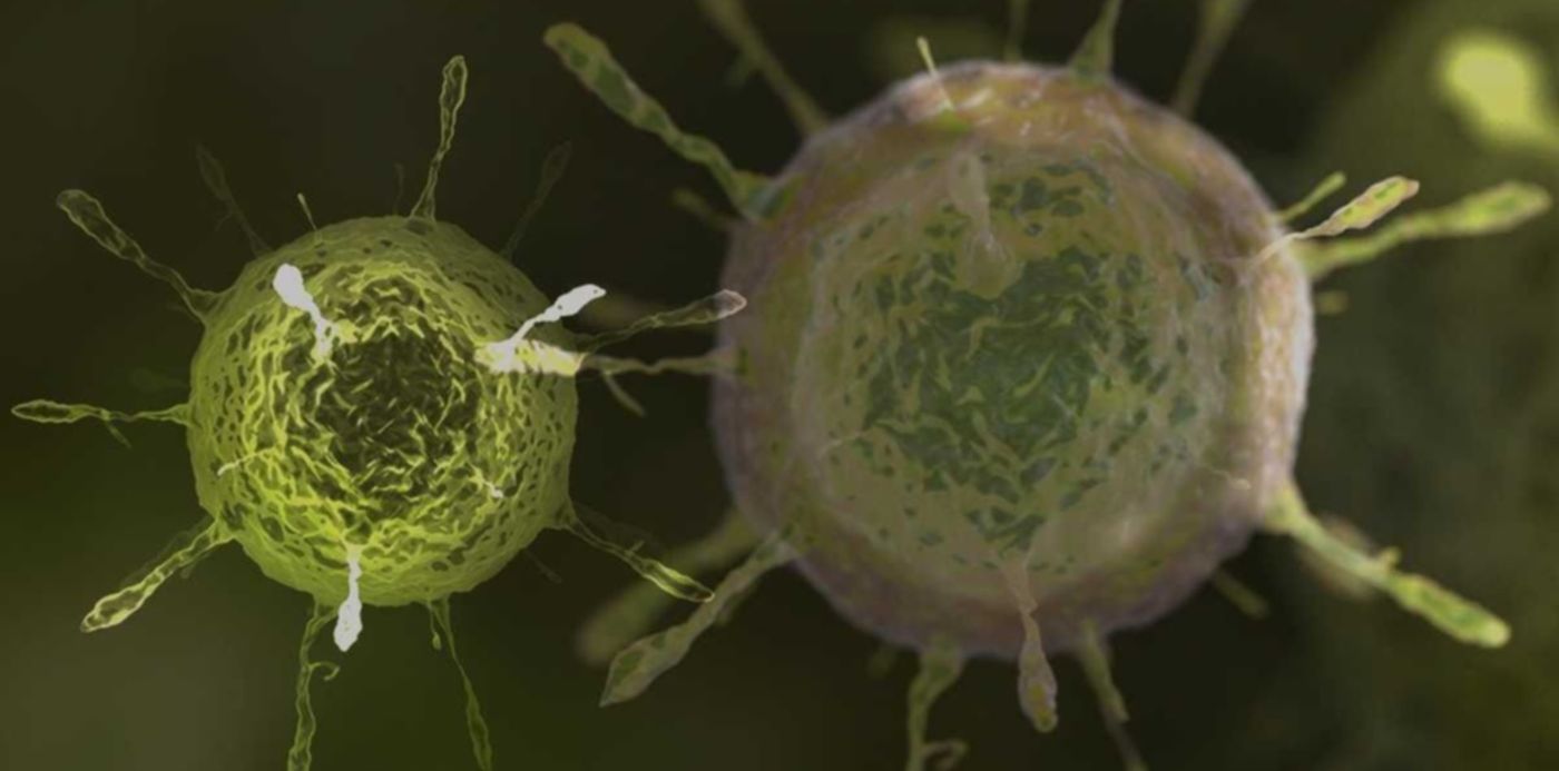 1624898103800.jpg?x=0&y=6&width=1200&height=600&rotate=0&scaleX=1&scaleY=1&ow=1200&oh=675&&cw=1920&ch=950