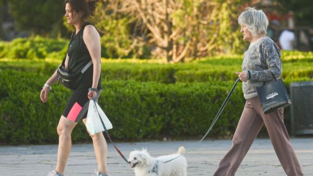 sabado primaveral en la plata y un fin de semana para disfrutar al aire libre