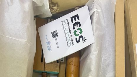 Presos de La Plata fabricaron instrumentos musicales que fueron distribuidos en escuelas y jardines