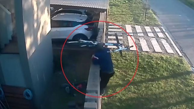 video: dos ladrones treparon un paredon y robaron bicicletas de una casa de la plata