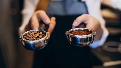 Llega Café Teamo, el evento que reúne a los amantes del café de especialidad en La Plata