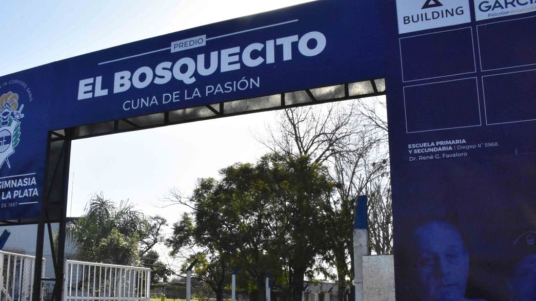 La actividad de las infantiles de Gimnasia se vio afectada por problemas salariales