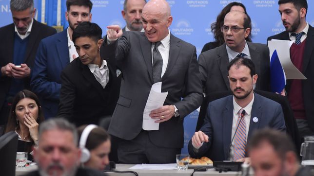 el gobierno de javier milei acepta cambios del senado y hay dictamen