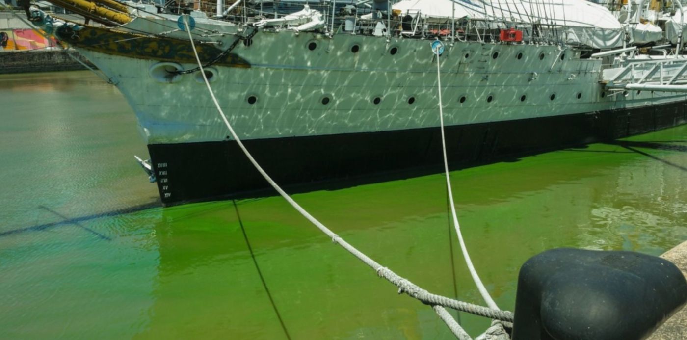 Río de la Plata agua verde cianobacterias Télam
