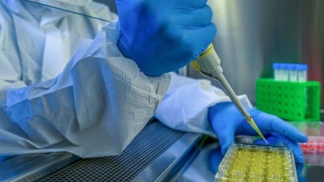 chapare, el nuevo virus mortal que tiene preocupados a los cientificos