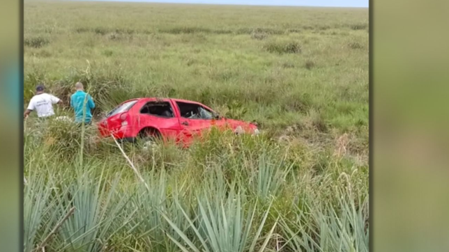 un automovilista murio tras chocar con un carpincho en plena ruta