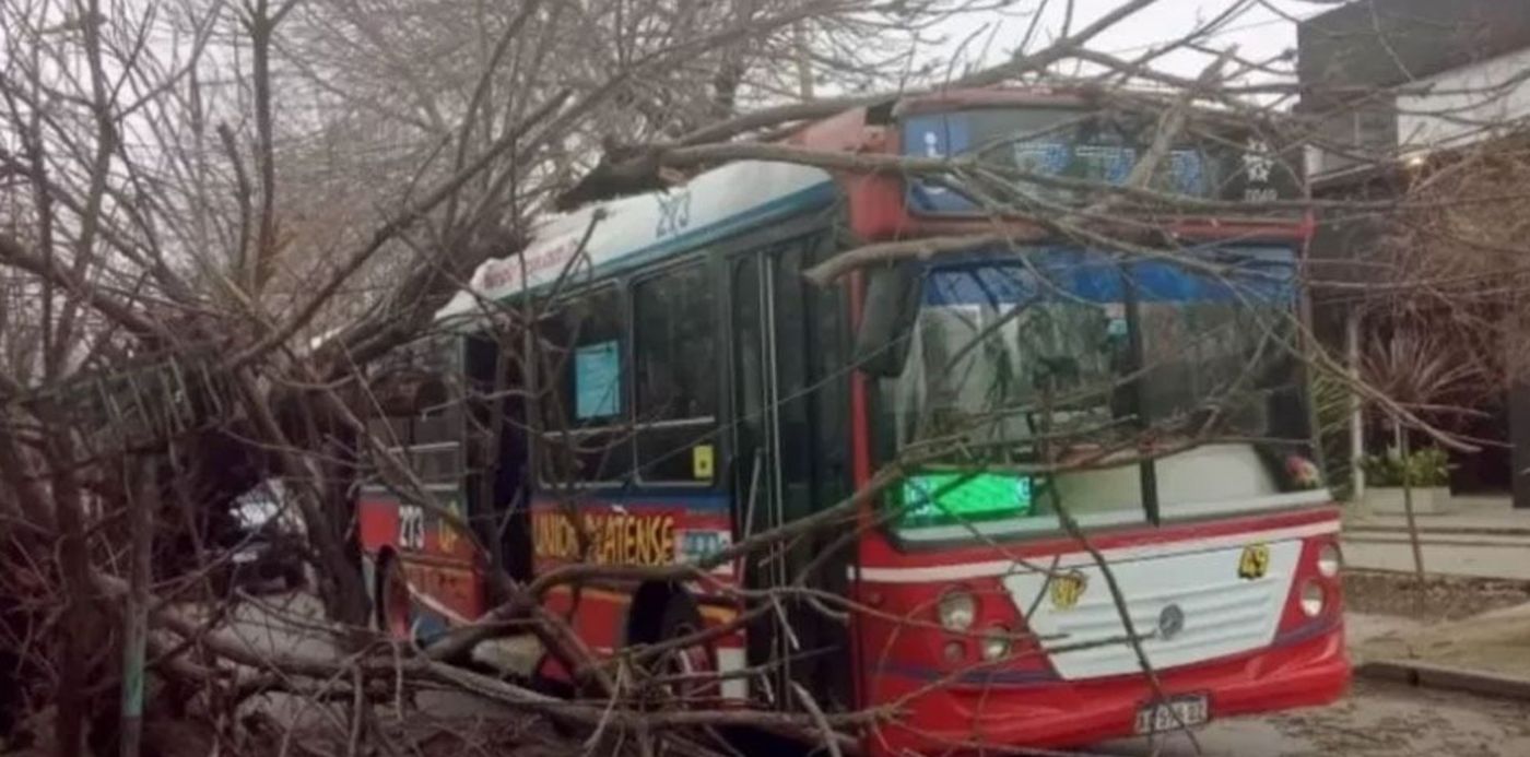 1659740481195.jpg?x=5&y=41&width=948&height=474&rotate=0&scaleX=1&scaleY=1&ow=960&oh=600&&cw=1920&ch=950