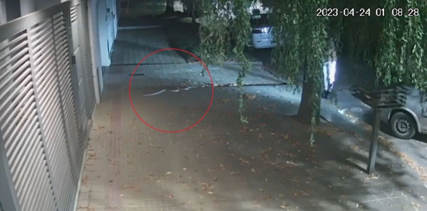 1682359035987.jpg?x=9&y=1&width=1490&height=745&rotate=0&scaleX=1&scaleY=1&ow=1500&oh=844&&cw=1920&ch=950