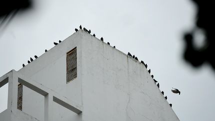 Viernes fresco y con chances de lloviznas en La Plata, en la previa de un fin de semana gris