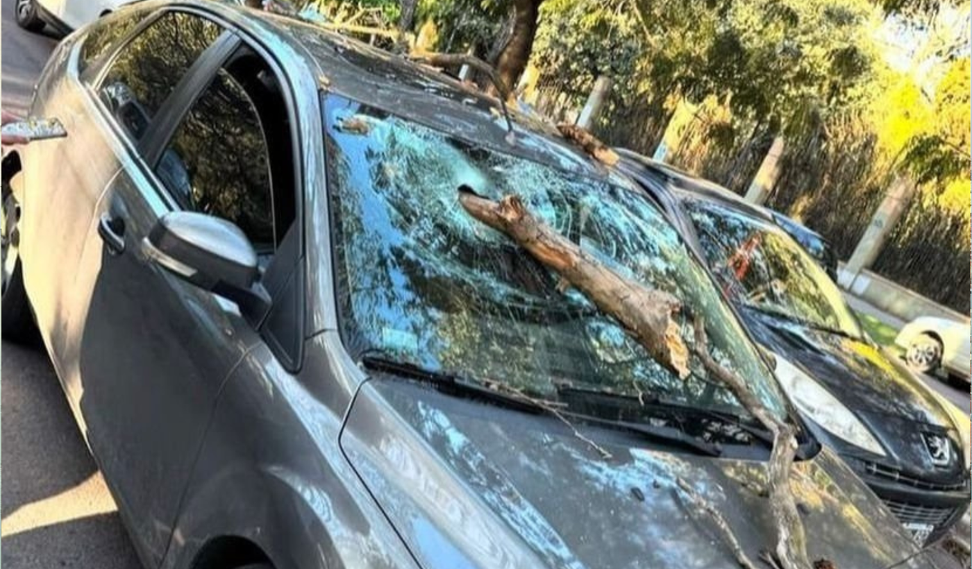 Portada - 2024-09-22T202035.814.png