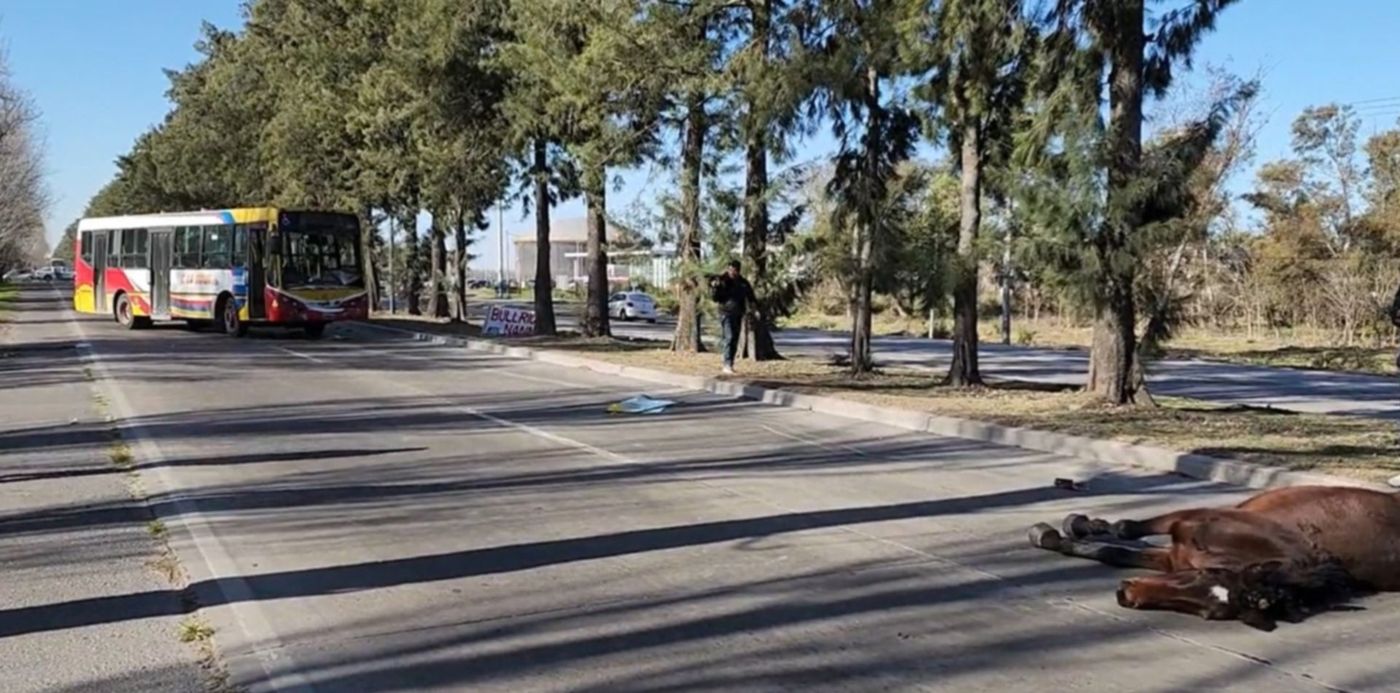 1691783380528.jpg?x=8&y=0&width=1484&height=742&rotate=0&scaleX=1&scaleY=1&ow=1500&oh=742&&cw=1920&ch=950