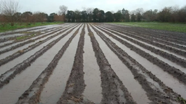 productores inundados denuncian perdidas millonarias en la plata tras el temporal productores inundados denuncian perdidas millonarias en la plata tras el temporal