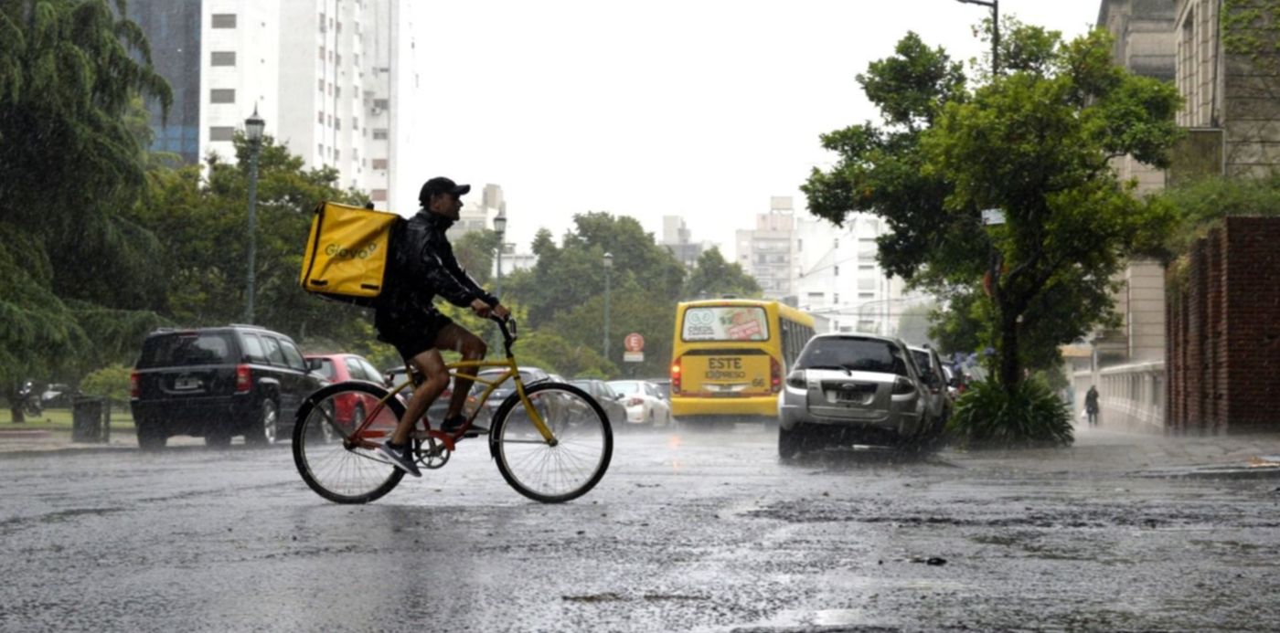 1545095010726.jpg?x=4&y=16&height=742&rotate=0&scaleX=1&scaleY=1&width=1484&ow=1500&oh=796&&cw=1920&ch=950